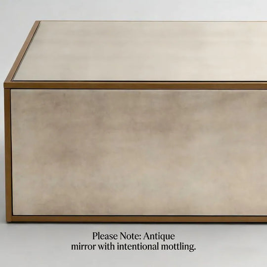 Modern Rectangular Coffee Table