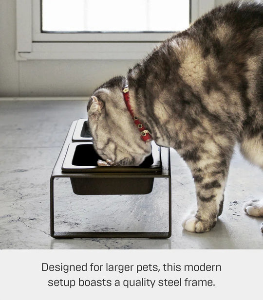 Steel and Ceramic Pet Food Stand, 2 Bowls for Food and Water, Tall, 1.25 Cups
