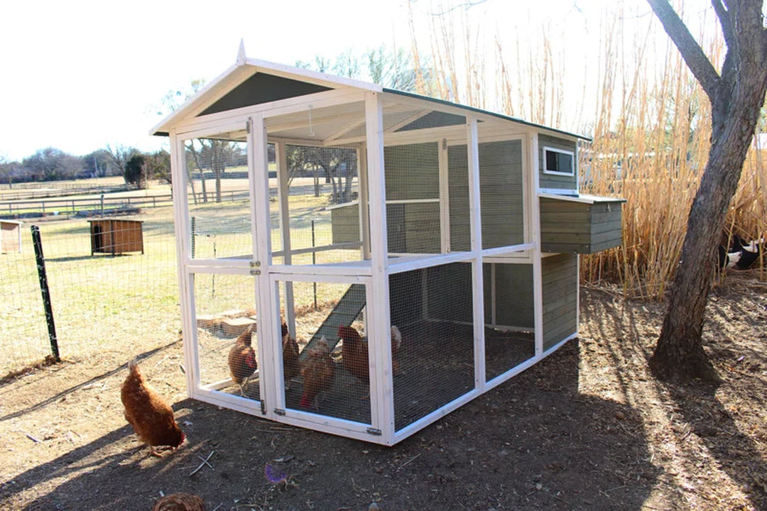 Big Green Chicken Coop