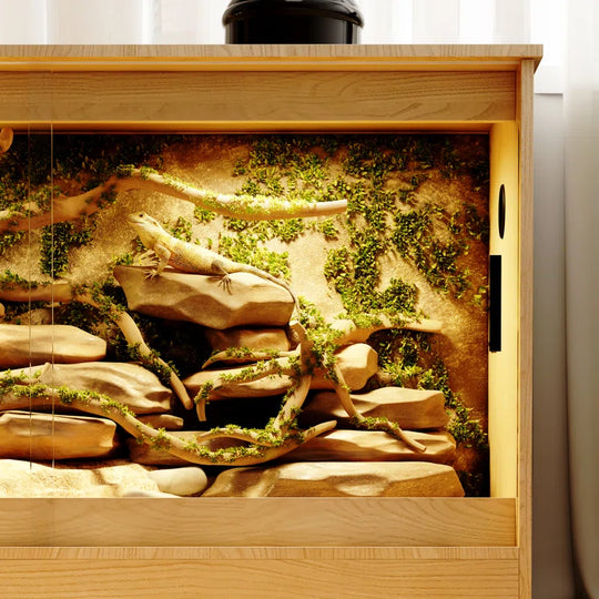 Reptile Terrarium