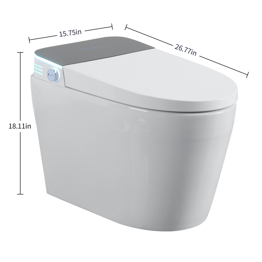 ABRUZZO Smart Bidet Toilet Auto Flush, Heated Seat, Warm Water, Dryer, Remote Control, Panel Black / White Options
