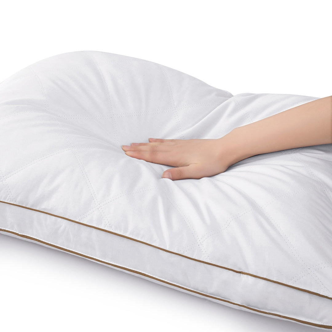 Medium-Firm 2-Inch Gusset Feather and down Pillows Set of 2