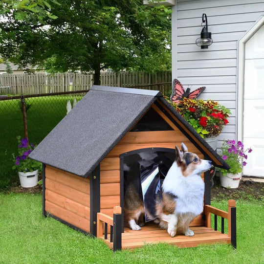 Dawnie Wood Dog House