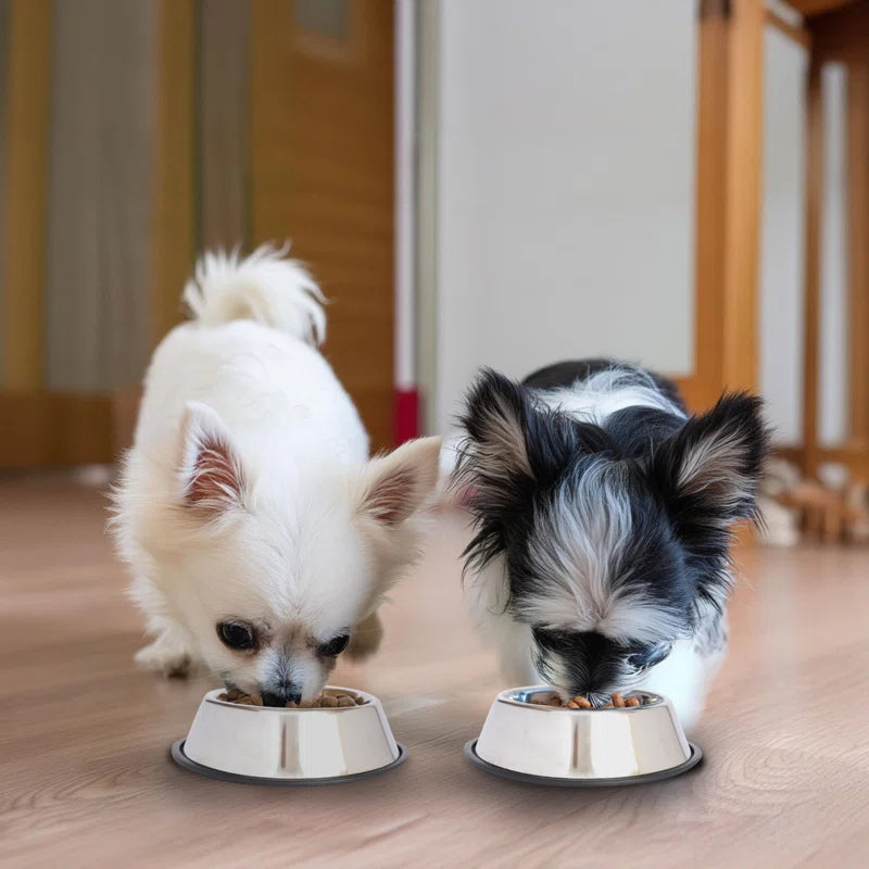 Non-Skid Pet Bowl / Dish