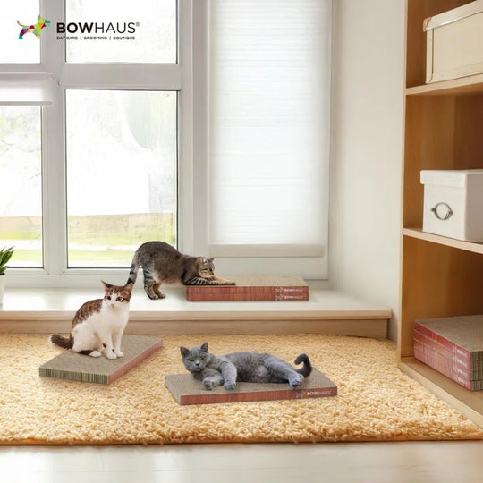 Cat Scratcher Lounger, Reversible Scratcher, Durable & Long-Lasting, Large Cat Scratching Pad, Cat Scratching Board, Scratch Pad for Indoor Cats, 8 Pcs, Brown