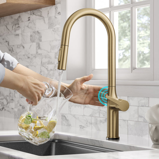 2-Function 1-Handle 1-Hole Pulldown Sprayer Brass Kitchen Faucet