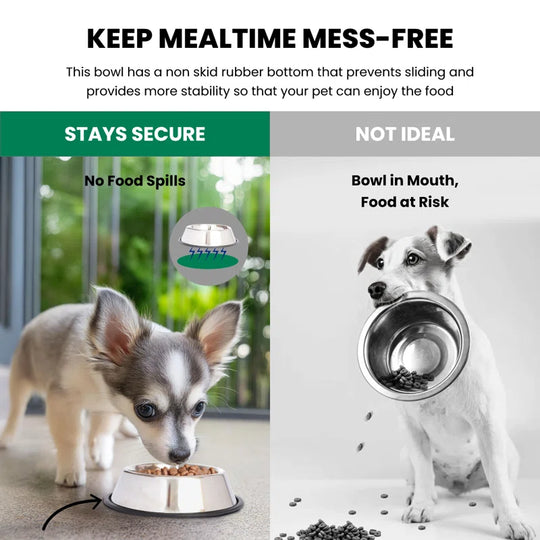 Non-Skid Pet Bowl / Dish