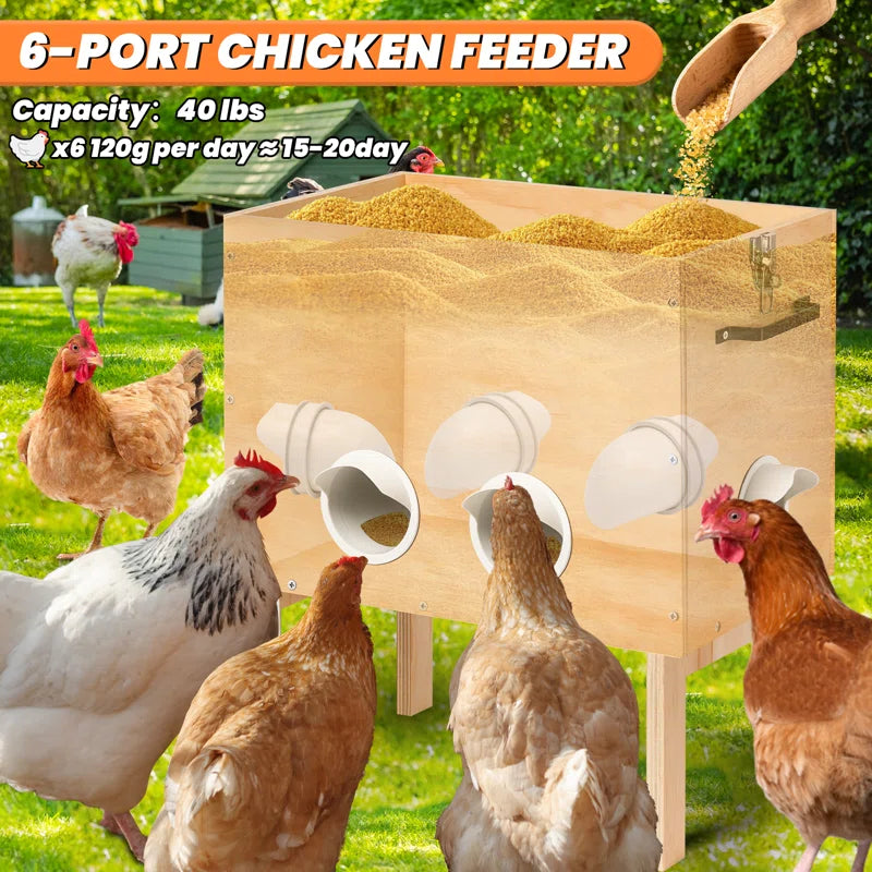 Automatic Wooden Chicken Feeder, Large 40 Lb Capacity, No Waste with Locking Lid & Legs, 6 Port, Supports 15-20 Days of Feeding for Chicken, Goose, Duck & Turkey – Coop Supplies
