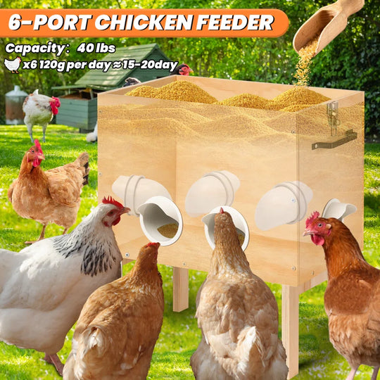Automatic Wooden Chicken Feeder, Large 40 Lb Capacity, No Waste with Locking Lid & Legs, 6 Port, Supports 15-20 Days of Feeding for Chicken, Goose, Duck & Turkey – Coop Supplies