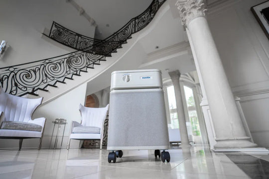 Austin Air Allergy Machine Air Purifier