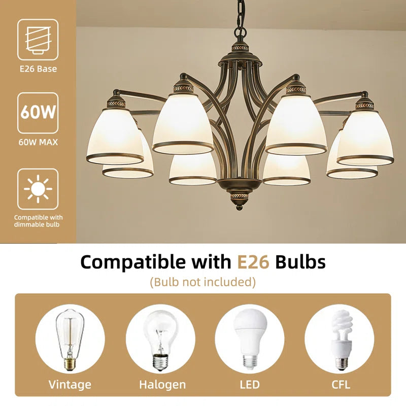 8-Light Steel Dimmable Classic / Traditional Chandelier