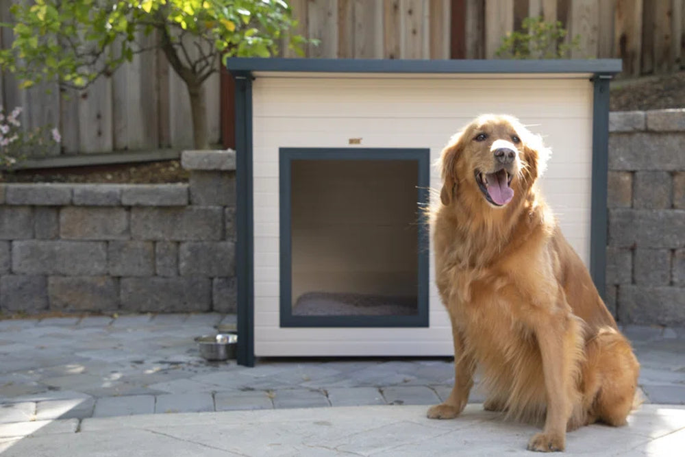 Adela New Age Pet ECOFLEX® Rustic Lodge Style Outdoor Dog House