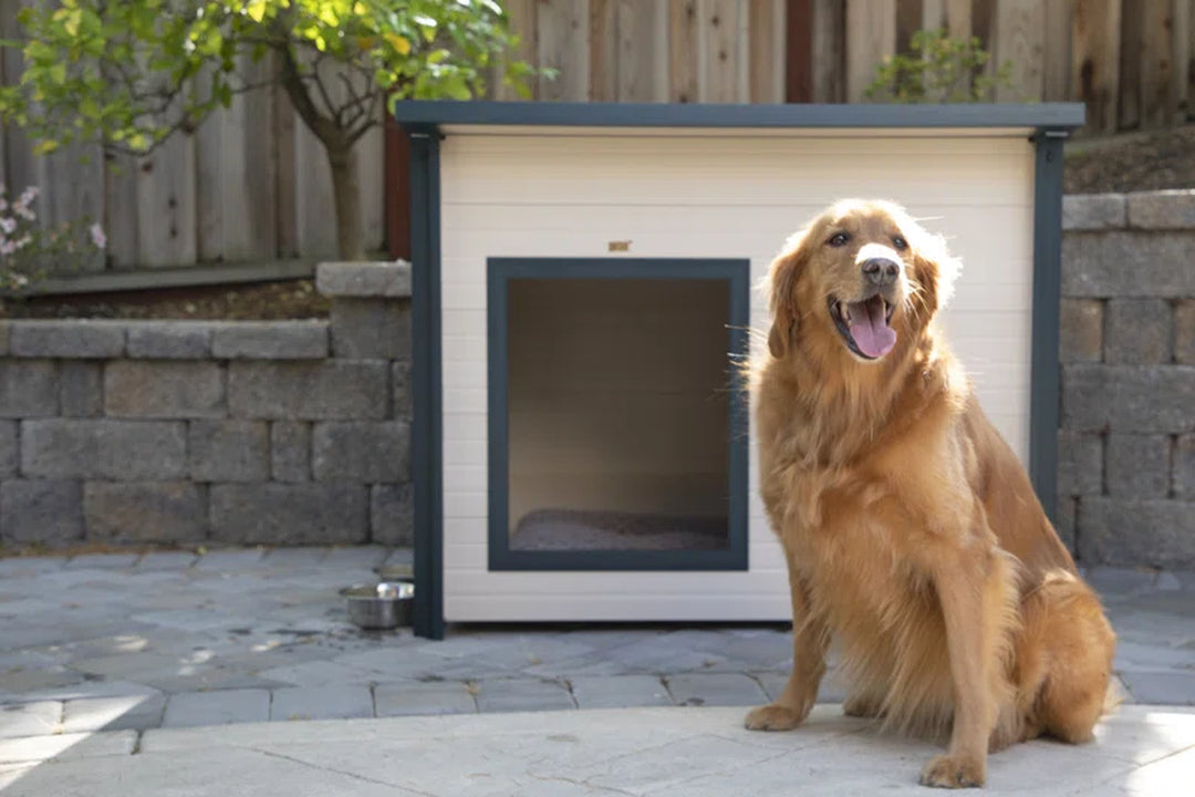 Adela New Age Pet ECOFLEX® Rustic Lodge Style Outdoor Dog House