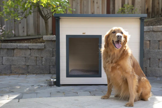 Adela New Age Pet ECOFLEX® Rustic Lodge Style Outdoor Dog House