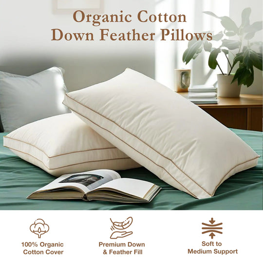Set of 2 100% Organic Cotton down Feather Pillow-In-A-Pillow Design Bed Pillow