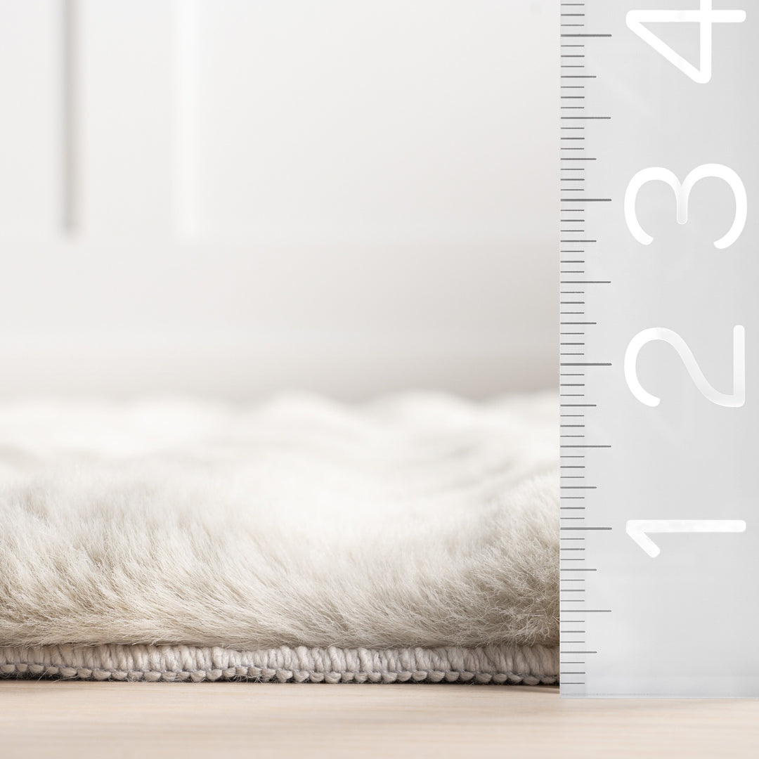 Jeni Solid Plush Machine Washable Area Rug