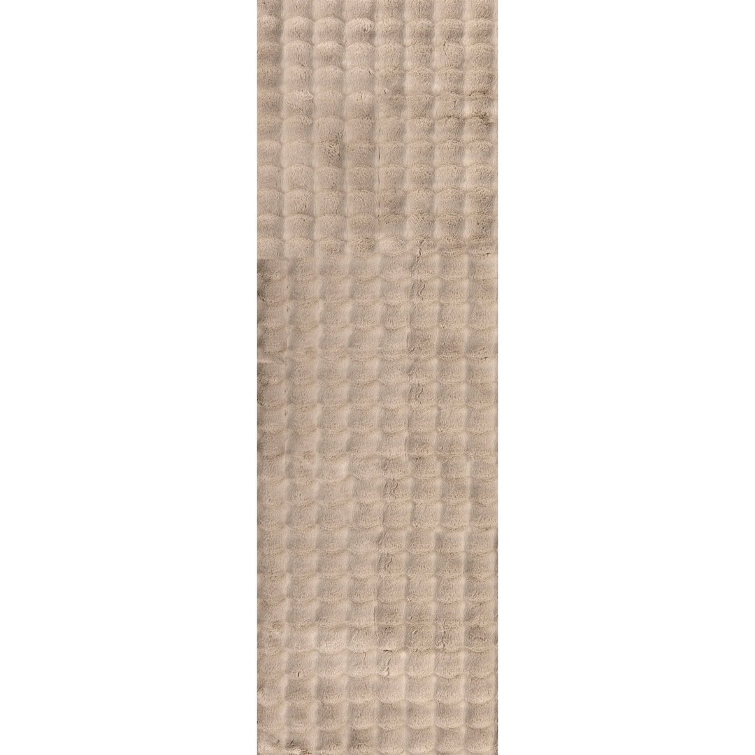 Jeni Solid Plush Machine Washable Area Rug