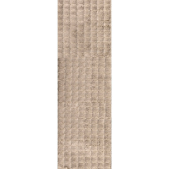 Jeni Solid Plush Machine Washable Area Rug