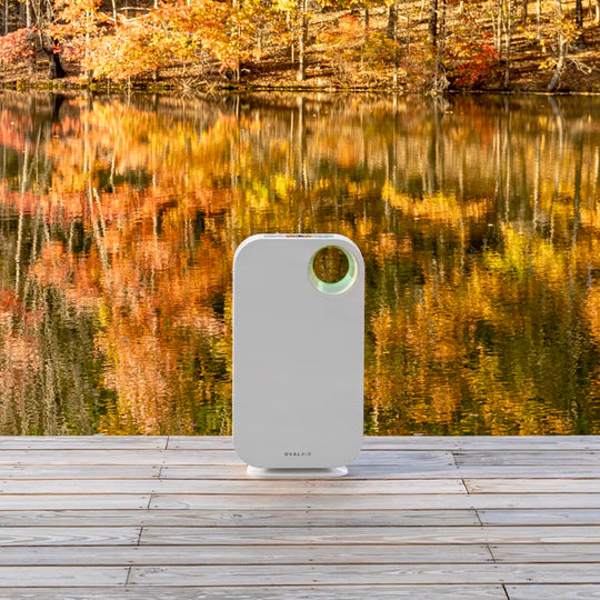 3-Stage H13 True HEPA 5-In-1 Air Purifier Reduces Allergies, Asthma, Pets, Odor, Smoke