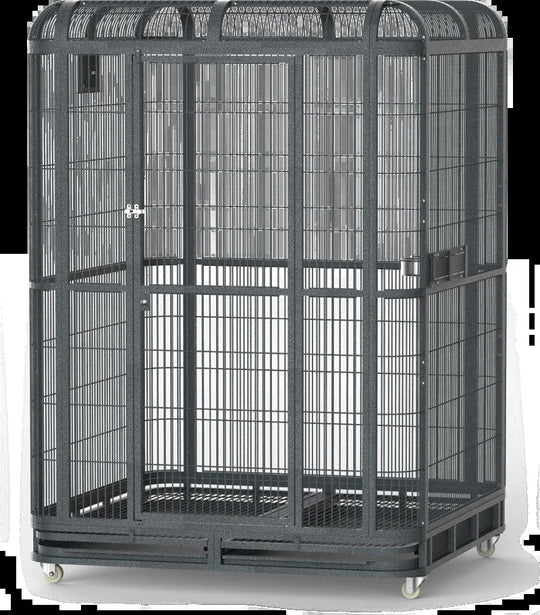 Walk-In Aviary Base for 62”X62” Aviary- Base Only & Does Not Include Aviary