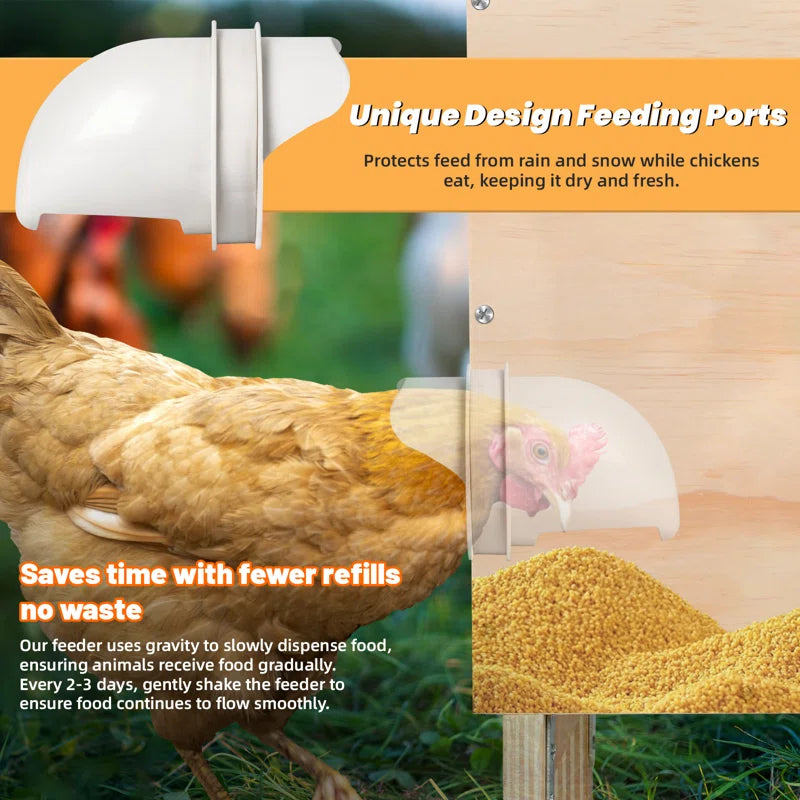 Automatic Wooden Chicken Feeder, Large 40 Lb Capacity, No Waste with Locking Lid & Legs, 6 Port, Supports 15-20 Days of Feeding for Chicken, Goose, Duck & Turkey – Coop Supplies
