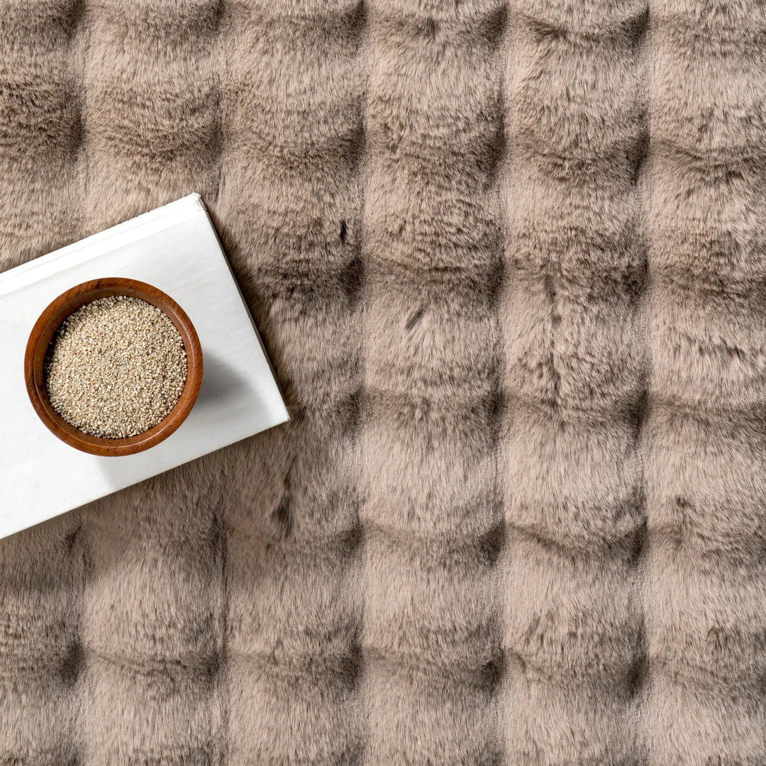 Jeni Solid Plush Machine Washable Area Rug