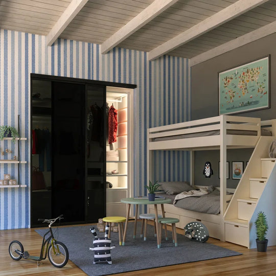 2 Panel - Black Frame - Closet and Room Divider
