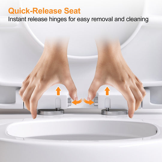 1 Piece Dual Flush Toilet White 0.8 1.28 GPF Seat Included 12 Inch Rough in - N/A