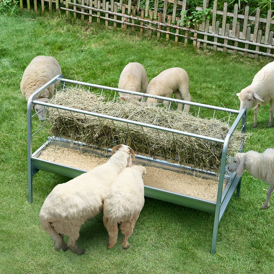 Livestock Hay Feeder 2 in 1 Grain & Hay Feeder 80 Gallons for Sheep