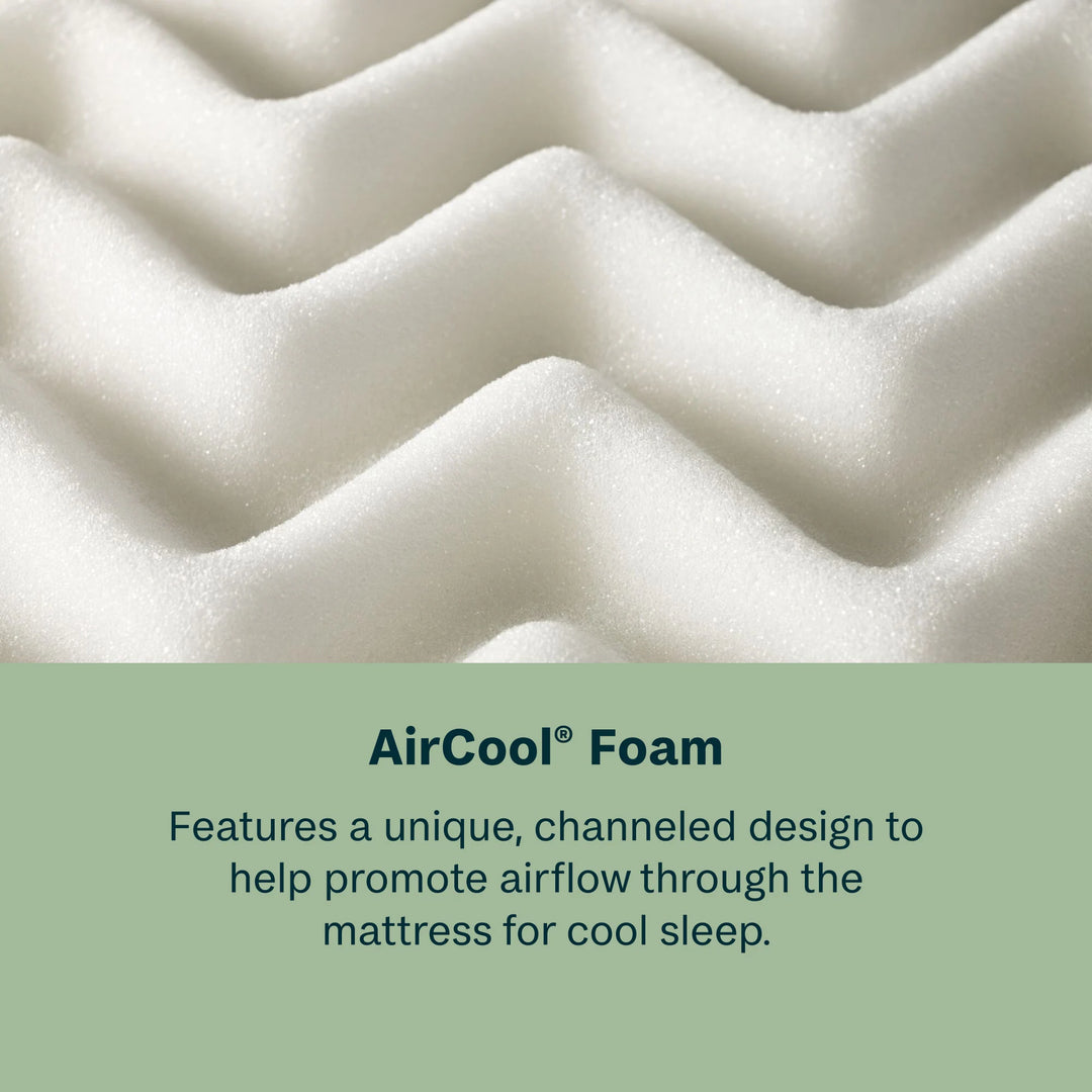 Beautysleep Slumberscape 14.25" Ultra Plush Pillow Top Mattress
