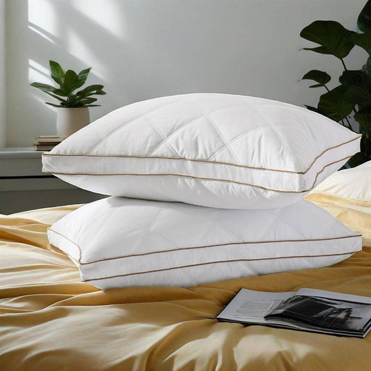 Medium-Firm 2-Inch Gusset Feather and down Pillows Set of 2