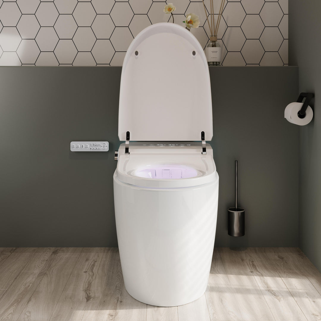 ABRUZZO Smart Bidet Toilet Auto Flush, Heated Seat, Warm Water, Dryer, Remote Control, Panel Black / White Options