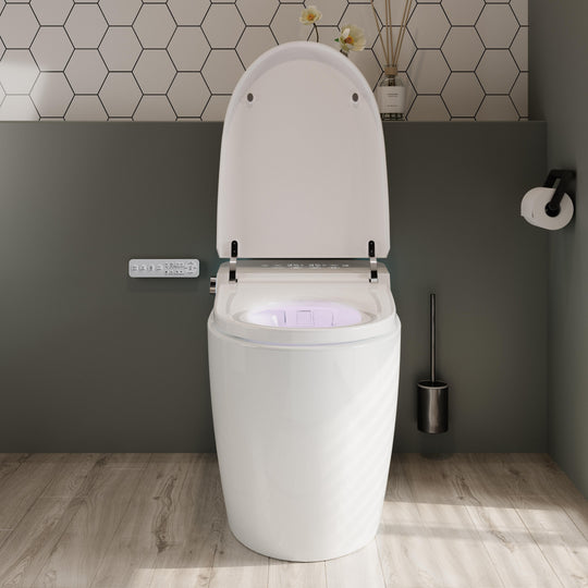 ABRUZZO Smart Bidet Toilet Auto Flush, Heated Seat, Warm Water, Dryer, Remote Control, Panel Black / White Options
