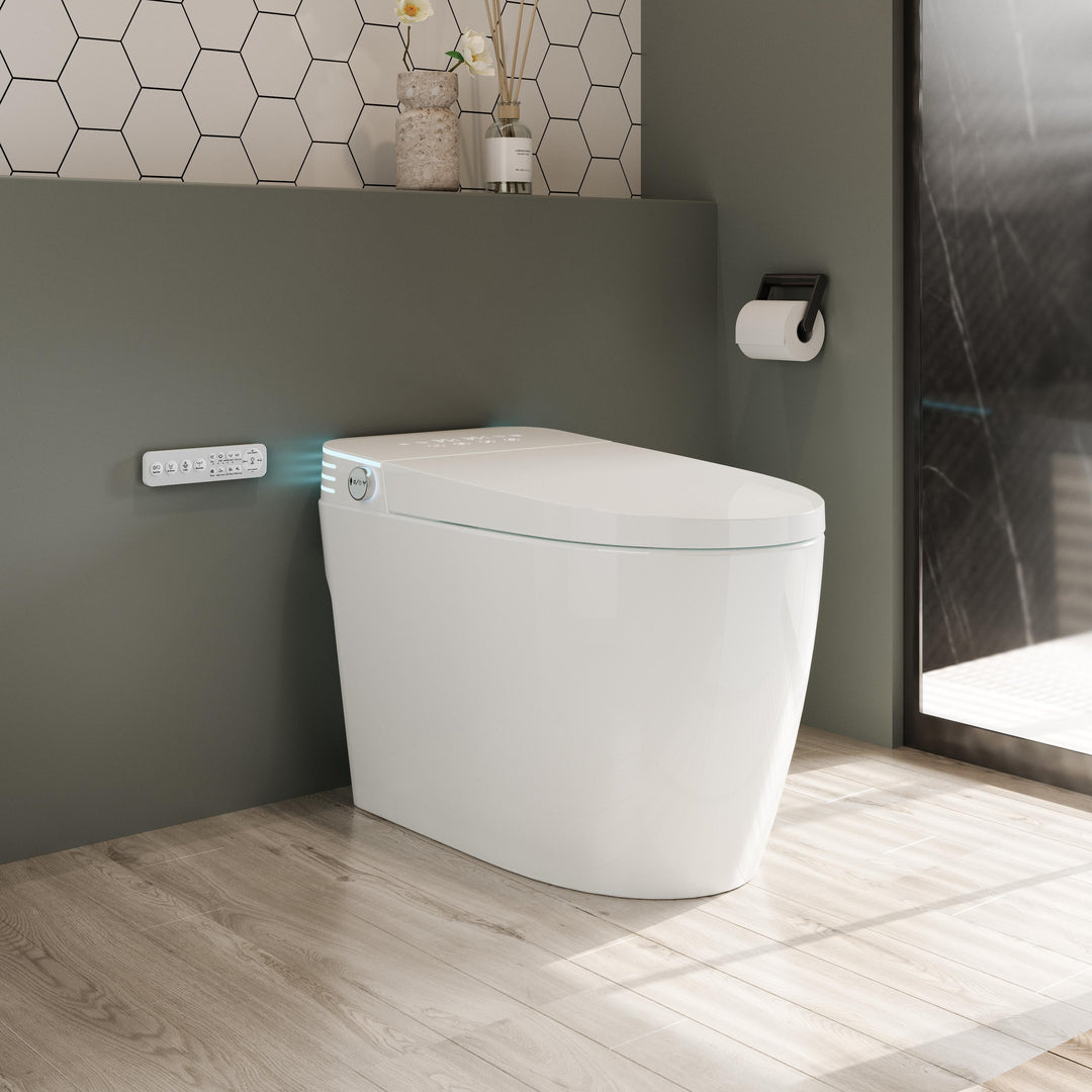 ABRUZZO Smart Bidet Toilet Auto Flush, Heated Seat, Warm Water, Dryer, Remote Control, Panel Black / White Options