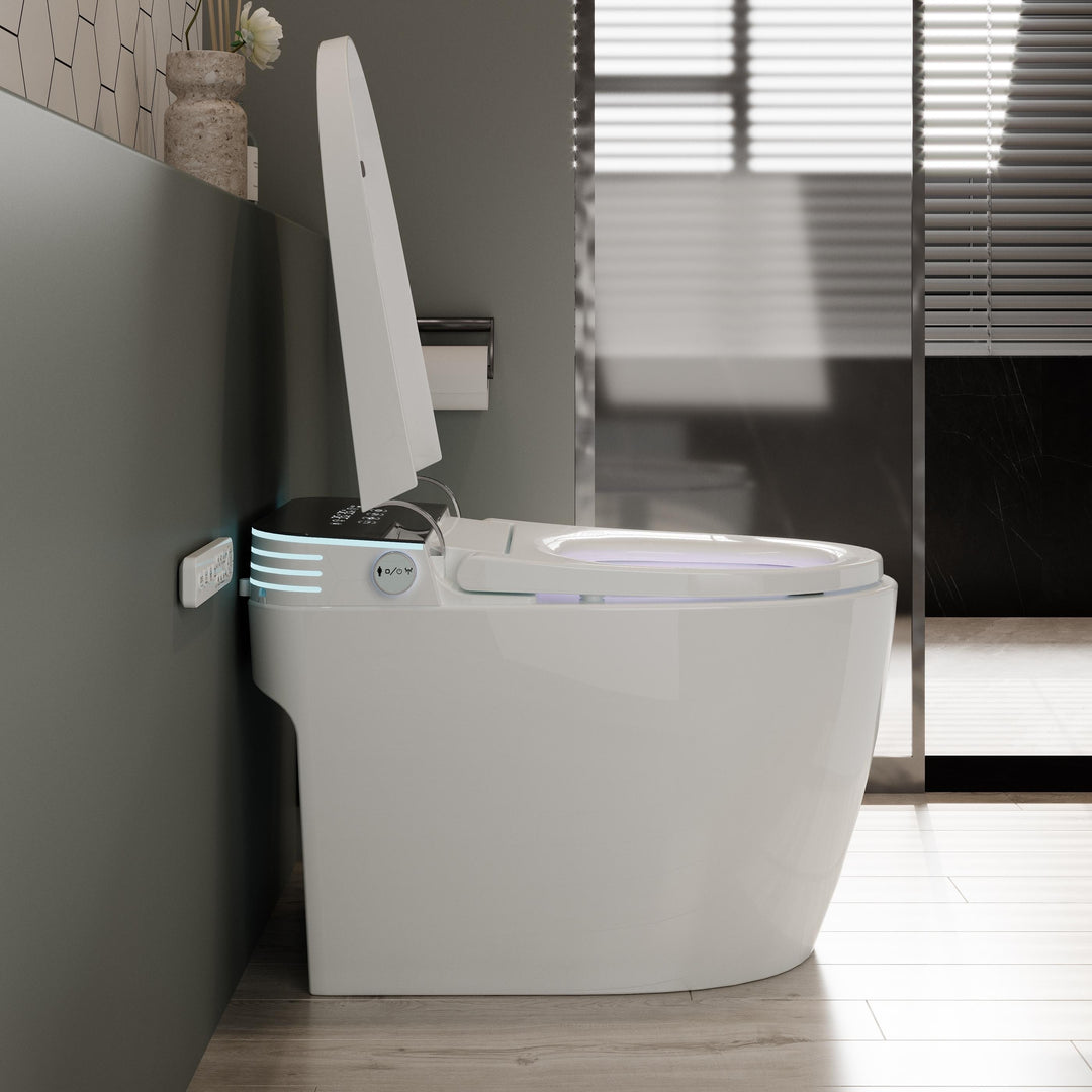 ABRUZZO Smart Bidet Toilet Auto Flush, Heated Seat, Warm Water, Dryer, Remote Control, Panel Black / White Options