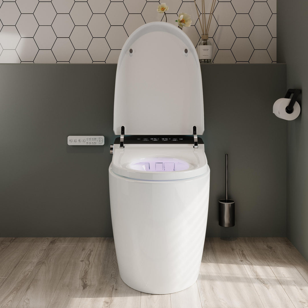 ABRUZZO Smart Bidet Toilet Auto Flush, Heated Seat, Warm Water, Dryer, Remote Control, Panel Black / White Options