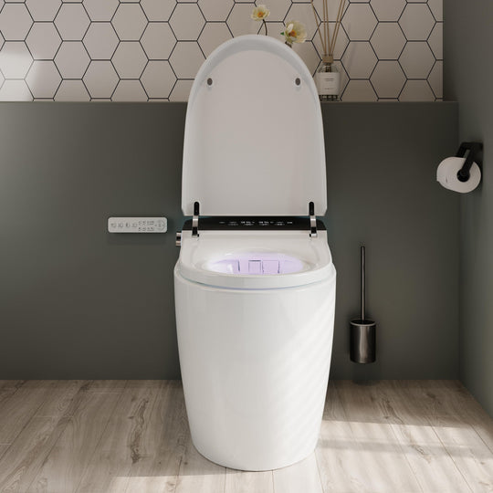 ABRUZZO Smart Bidet Toilet Auto Flush, Heated Seat, Warm Water, Dryer, Remote Control, Panel Black / White Options