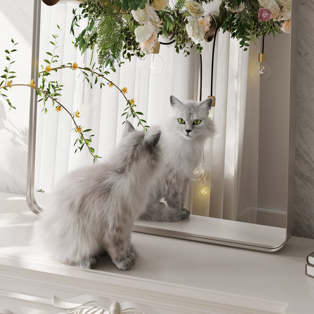 Quivaraview Rectangular Aluminum Framed Bathroom Vanity Mirror