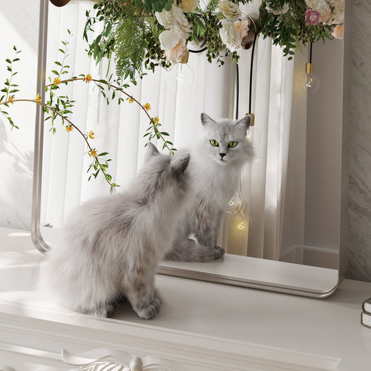 Quivaraview Rectangular Aluminum Framed Bathroom Vanity Mirror