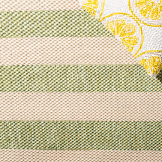 Courtyard Apolonija Indoor/ Outdoor Waterproof Backyard Patio Rug