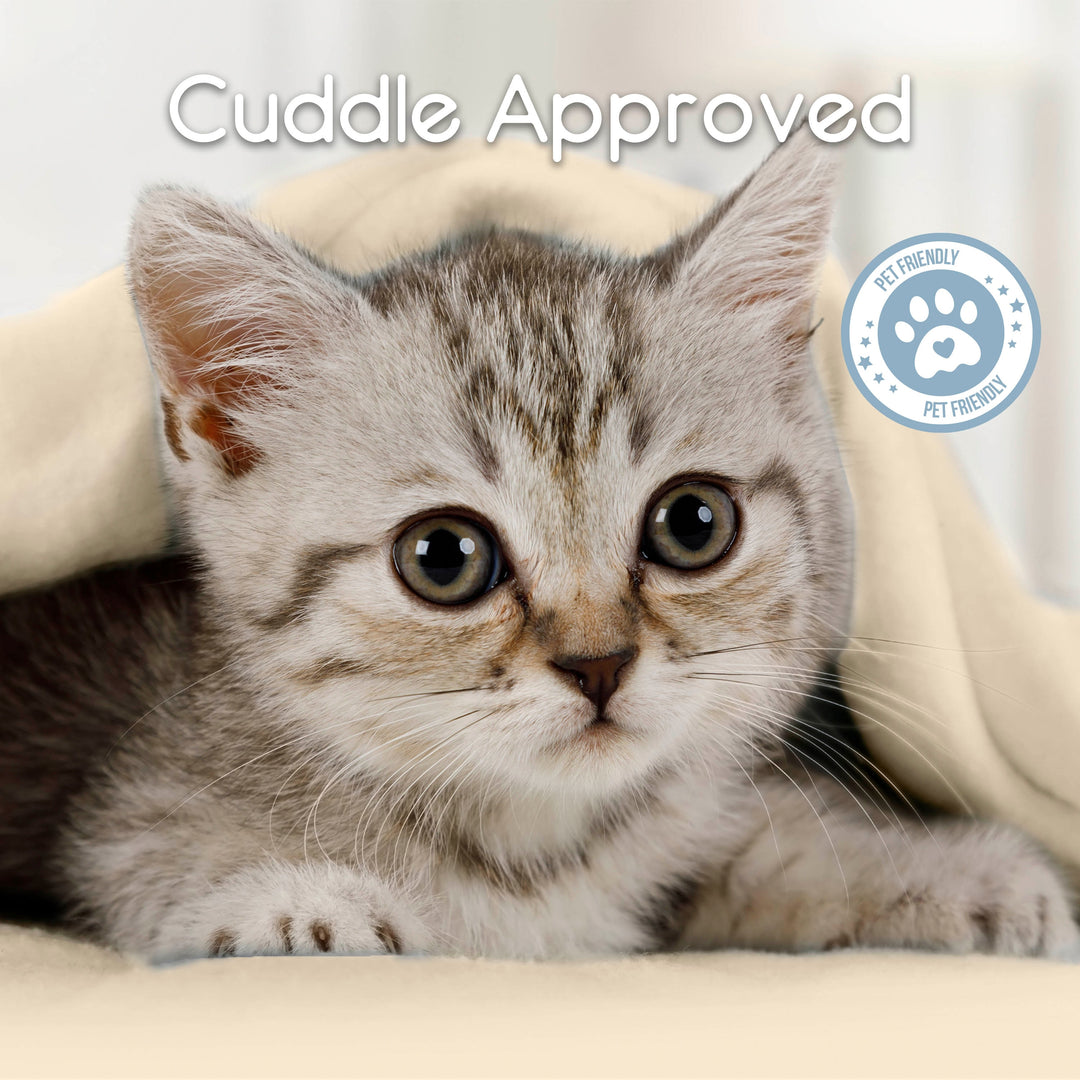 Microfleece Blanket Soft, Lightweight, Plush All-Season Throw