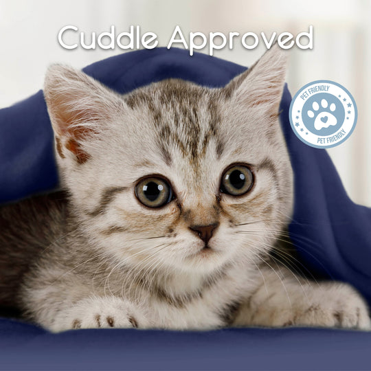 Microfleece Blanket Soft, Lightweight, Plush All-Season Throw