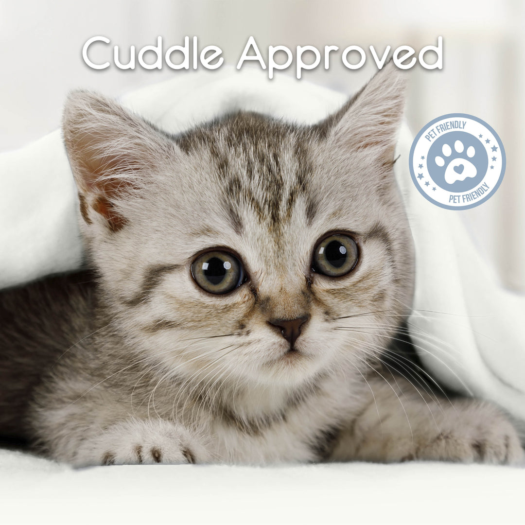 Microfleece Blanket Soft, Lightweight, Plush All-Season Throw