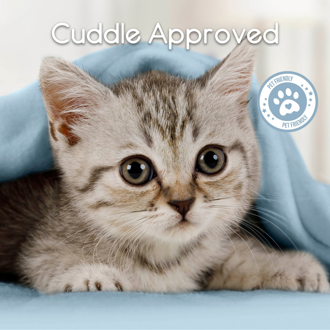Microfleece Blanket Soft, Lightweight, Plush All-Season Throw