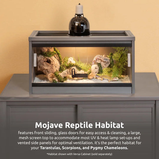 Deneishia Large Reptile Lounge Terrarium with Front Access