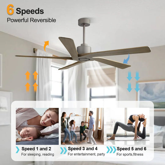 54 Inch DC Motor Indoor Ceiling Fan without Lights