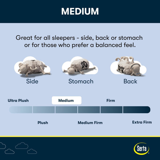 Icomfort Aspire 14" Memory Foam Medium Mattress