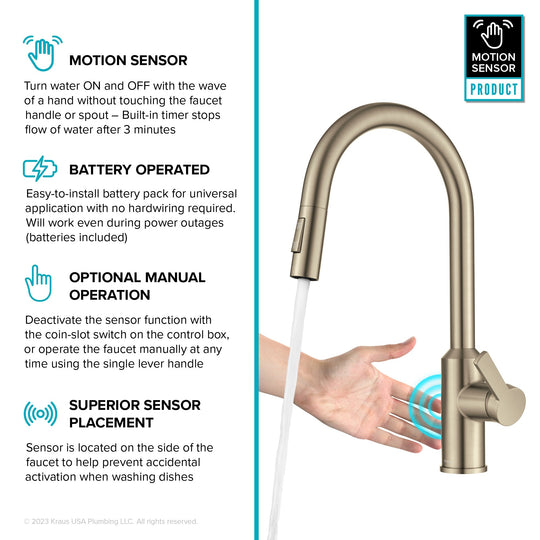 2-Function 1-Handle 1-Hole Pulldown Sprayer Brass Kitchen Faucet
