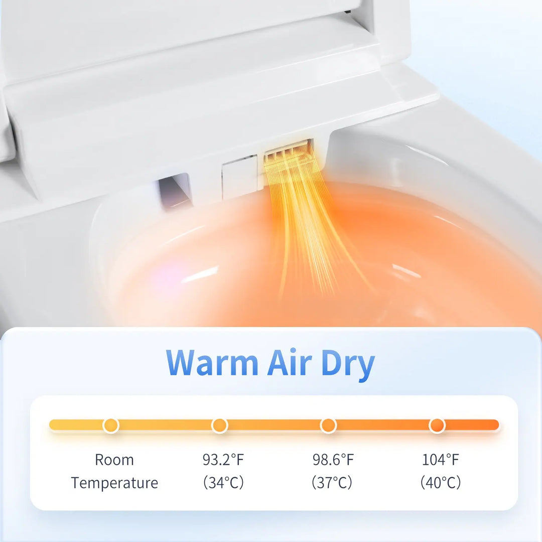 ABRUZZO Smart Bidet Toilet Auto Flush, Heated Seat, Warm Water, Dryer, Remote Control, Panel Black / White Options