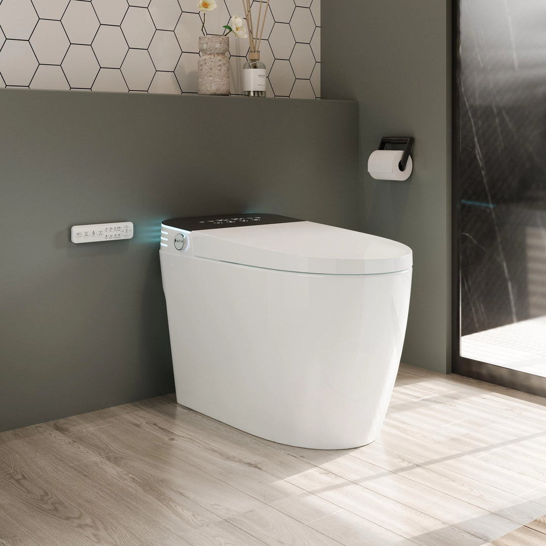 ABRUZZO Smart Bidet Toilet Auto Flush, Heated Seat, Warm Water, Dryer, Remote Control, Panel Black / White Options